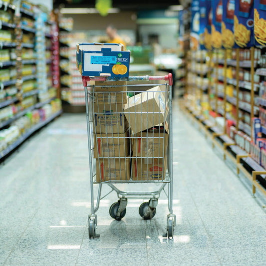 E-Consumer Pulse™:  Grocery Deep Dive: September 2025 Consumer & eCommerce Insights Report
